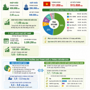 China Rice Market Update - First Half of 2026