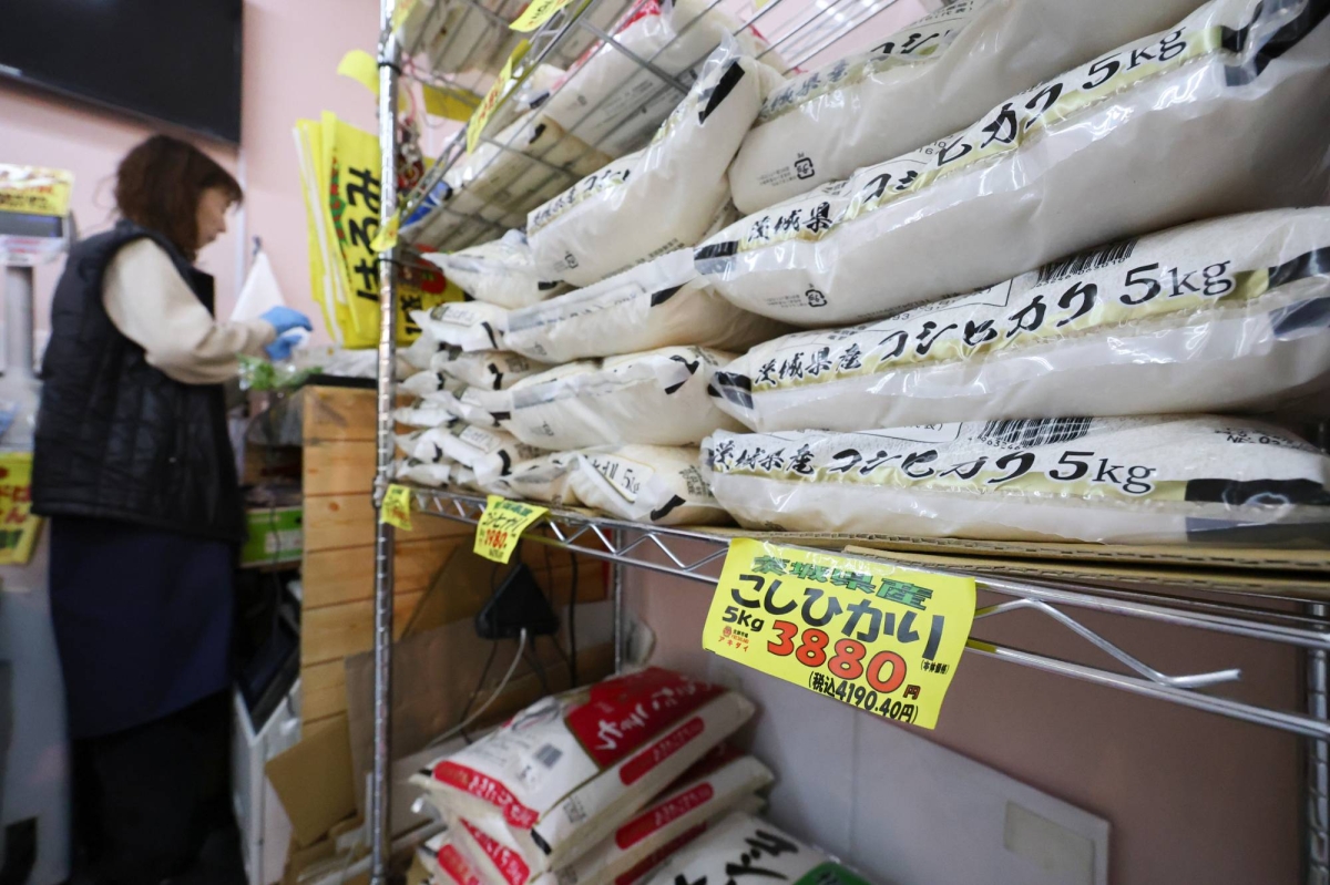 Japan Rice Prices Expected to Fall due to High Inventories