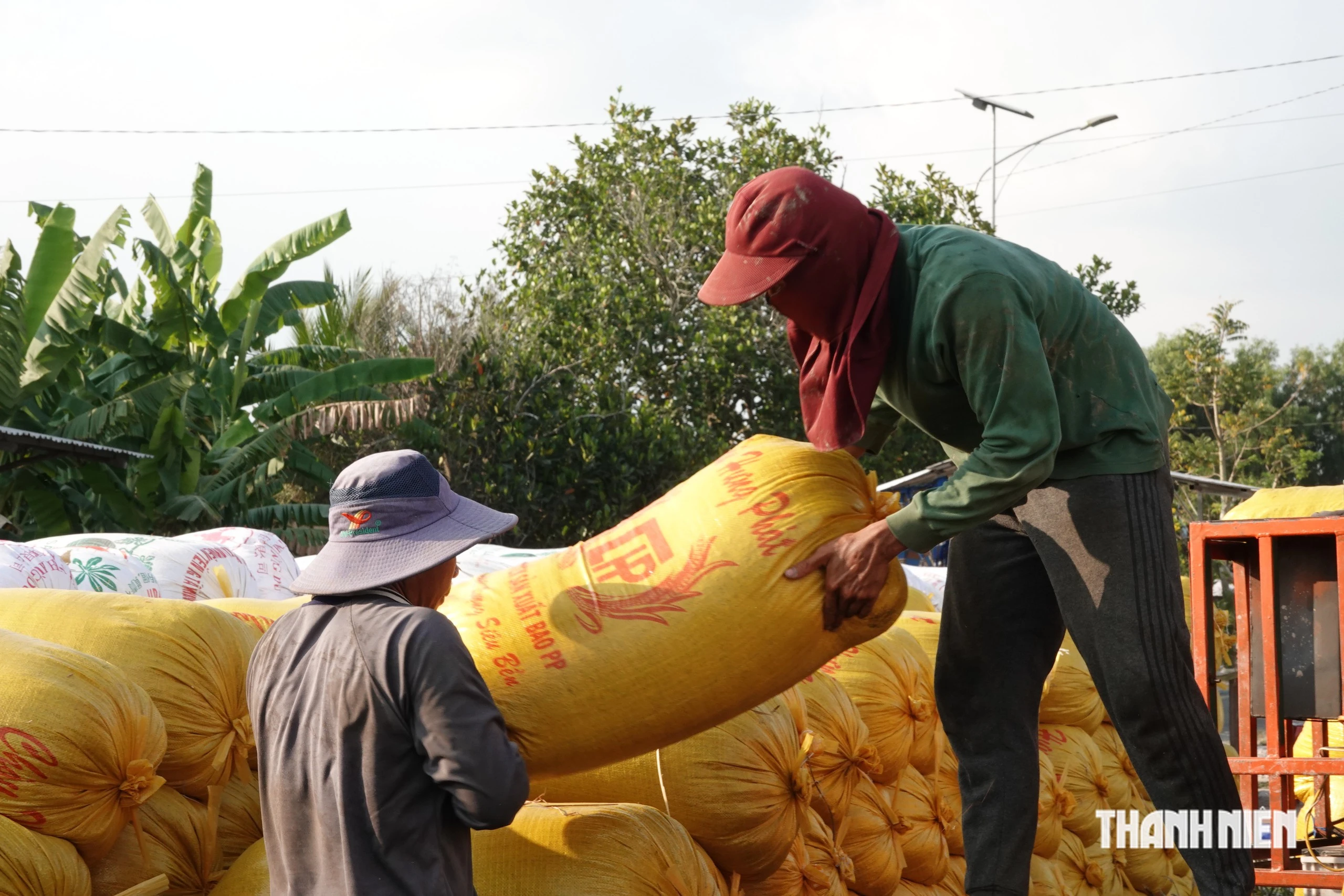 Philippines to Import Record 5 Million Tonnes of Vietnamese Rice Amid Severe El Niño
