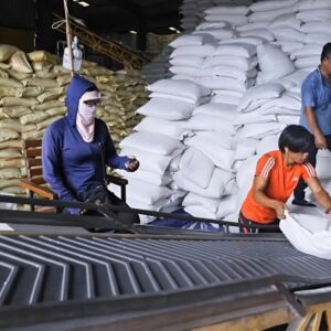 South Korea and Japan Launch Rice Tenders